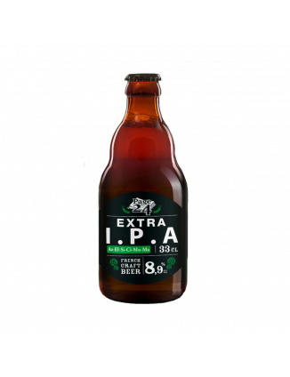 PAGE 24 EXTRA IPA 33CL 8.9%