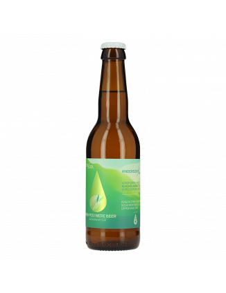 ANDERSON WISH YOU WERE BEER 33CL 0.3%