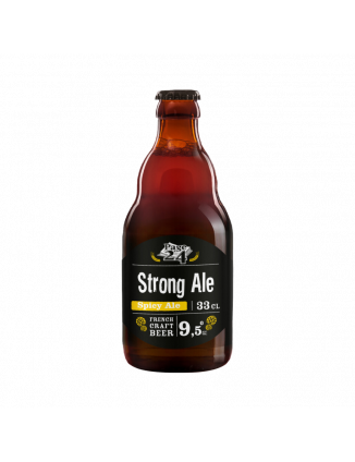 PAGE 24 BELGIAN STRONG ALE 33CL 9.5%