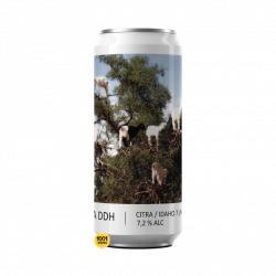 POPIHN X FUNKY FLUID NEIPA DDH CITRA/IDAHO7/HBC 586 44CL 7.2%